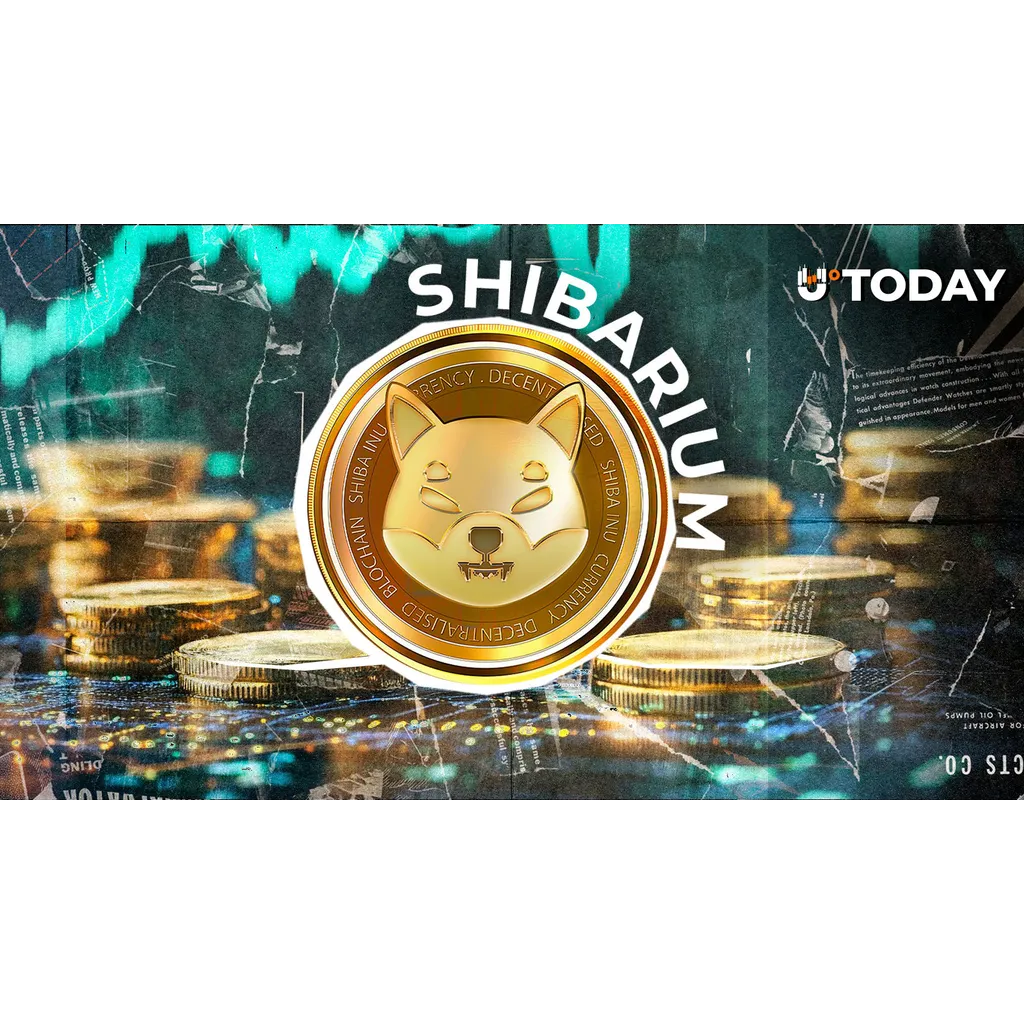 Shiba Inu Shibarium network transactions increased by 742 percent Shiba Inu Shibarium network transactions increased by 742 percent