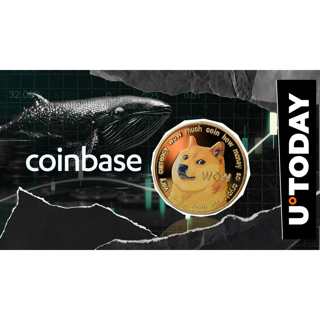 196,799,056 DOGE moved amid rising whale activity during Uptober preparations 196,799,056 DOGE moved amid rising whale activity during Uptober preparations