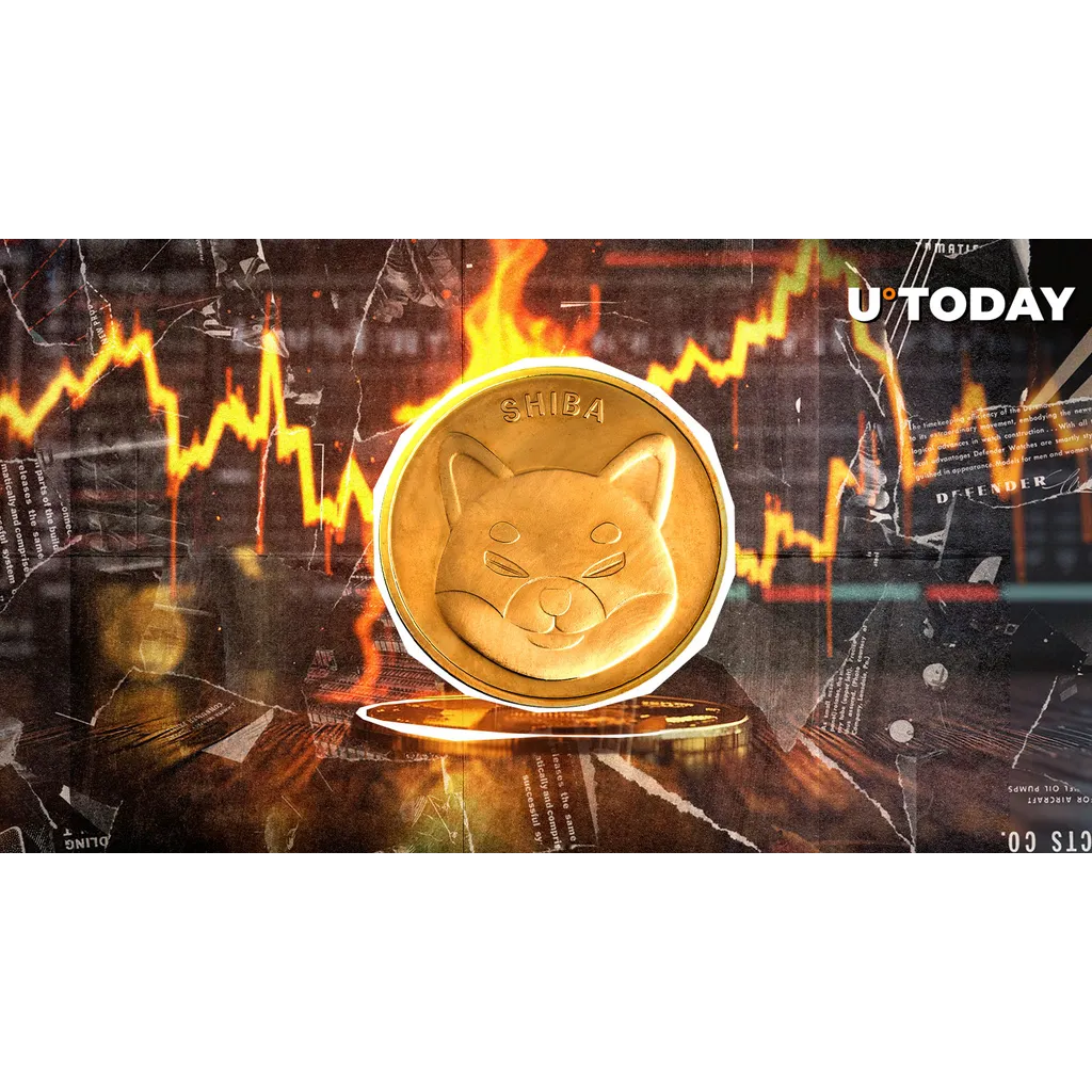 SHIB Down 96.68%: Silver Lining SHIB Down 96.68%: Silver Lining