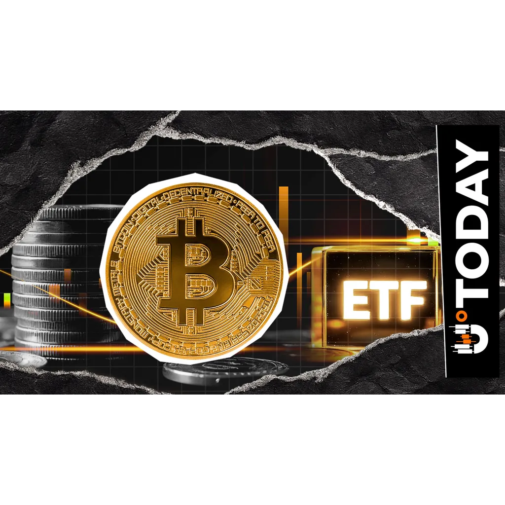 Bitcoin ETFs Are Back: 8 Million in 24 Hours Recorded Amid Institutional Market Comeback Bitcoin ETFs Are Back: 8 Million in 24 Hours Recorded Amid Institutional Market Comeback