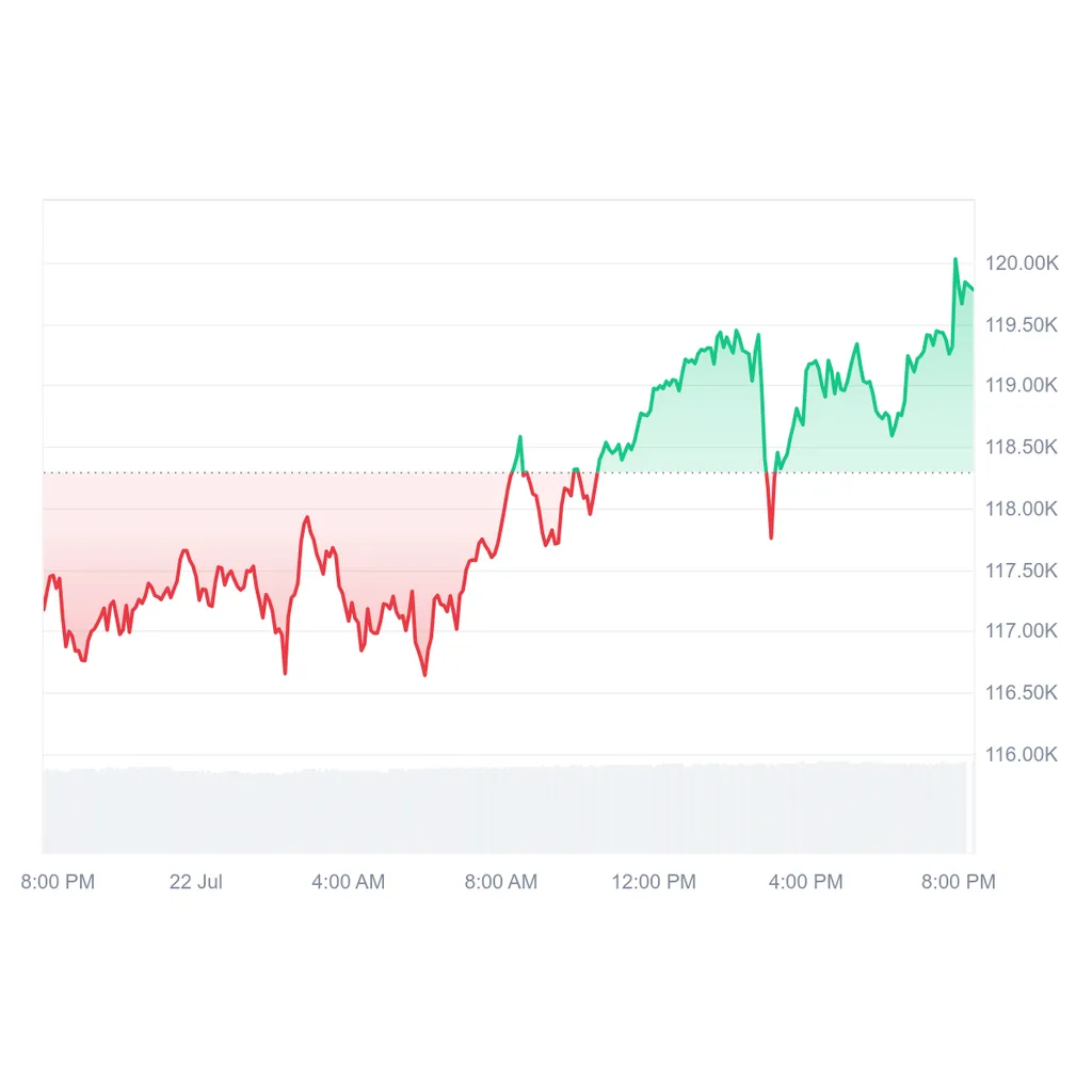 BTC Price Reclaims 0K As Whale Accumulates 0M in Bitcoin BTC Price Reclaims 0K As Whale Accumulates 0M in Bitcoin