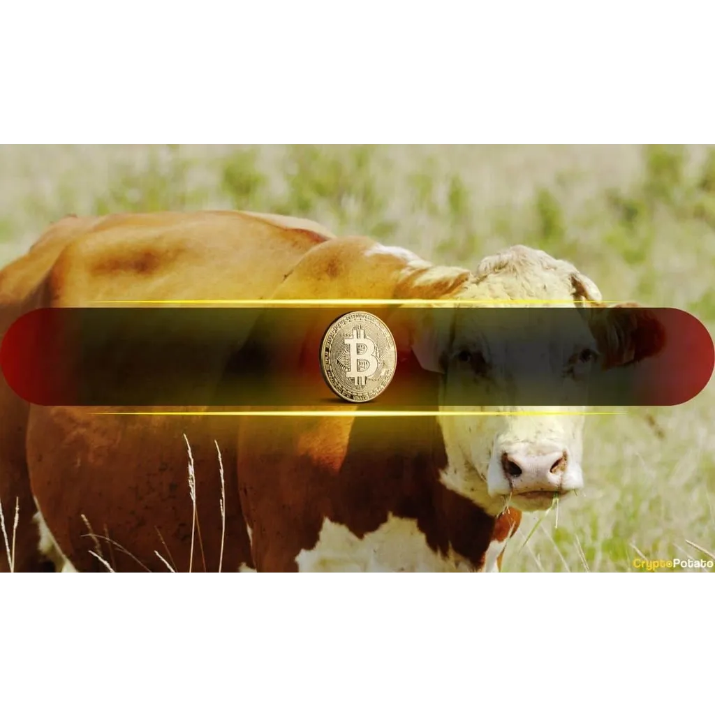 Macroeconomic shifts extend Bitcoin market cycle to 2026 according to analysts Macroeconomic shifts extend Bitcoin market cycle to 2026 according to analysts