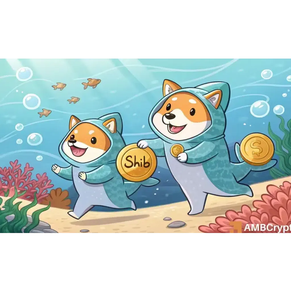 Shiba Inu falls 20%, but whales surge back in – Is SHIB’s recovery next? Shiba Inu falls 20%, but whales surge back in – Is SHIB’s recovery next?