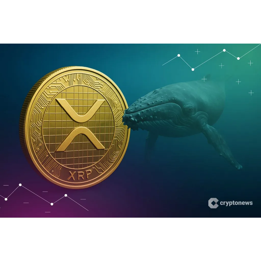 XRP to gain 10x in 80 days with DOT miners daily opportunities XRP to gain 10x in 80 days with DOT miners daily opportunities