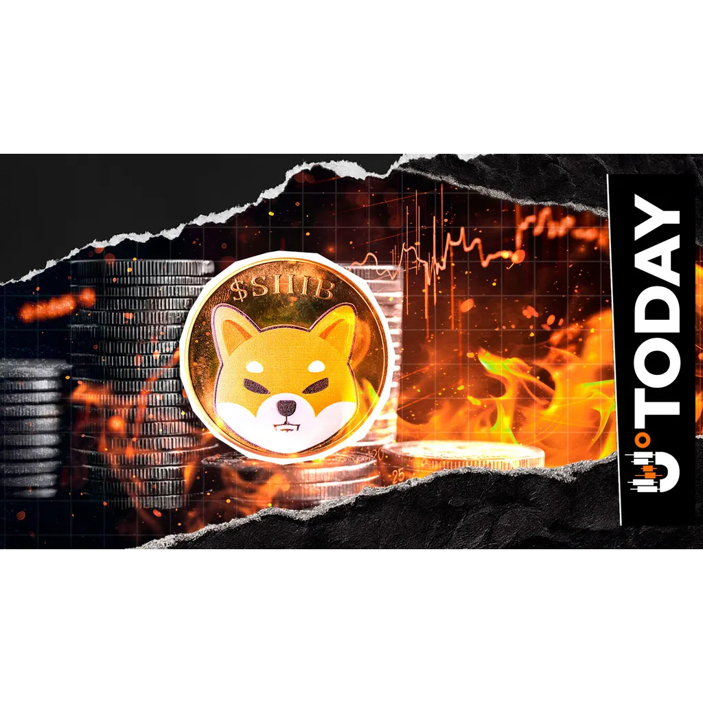 Shiba Inu token records massive 28554 percent burn rate increase according to data Shiba Inu token records massive 28554 percent burn rate increase according to data