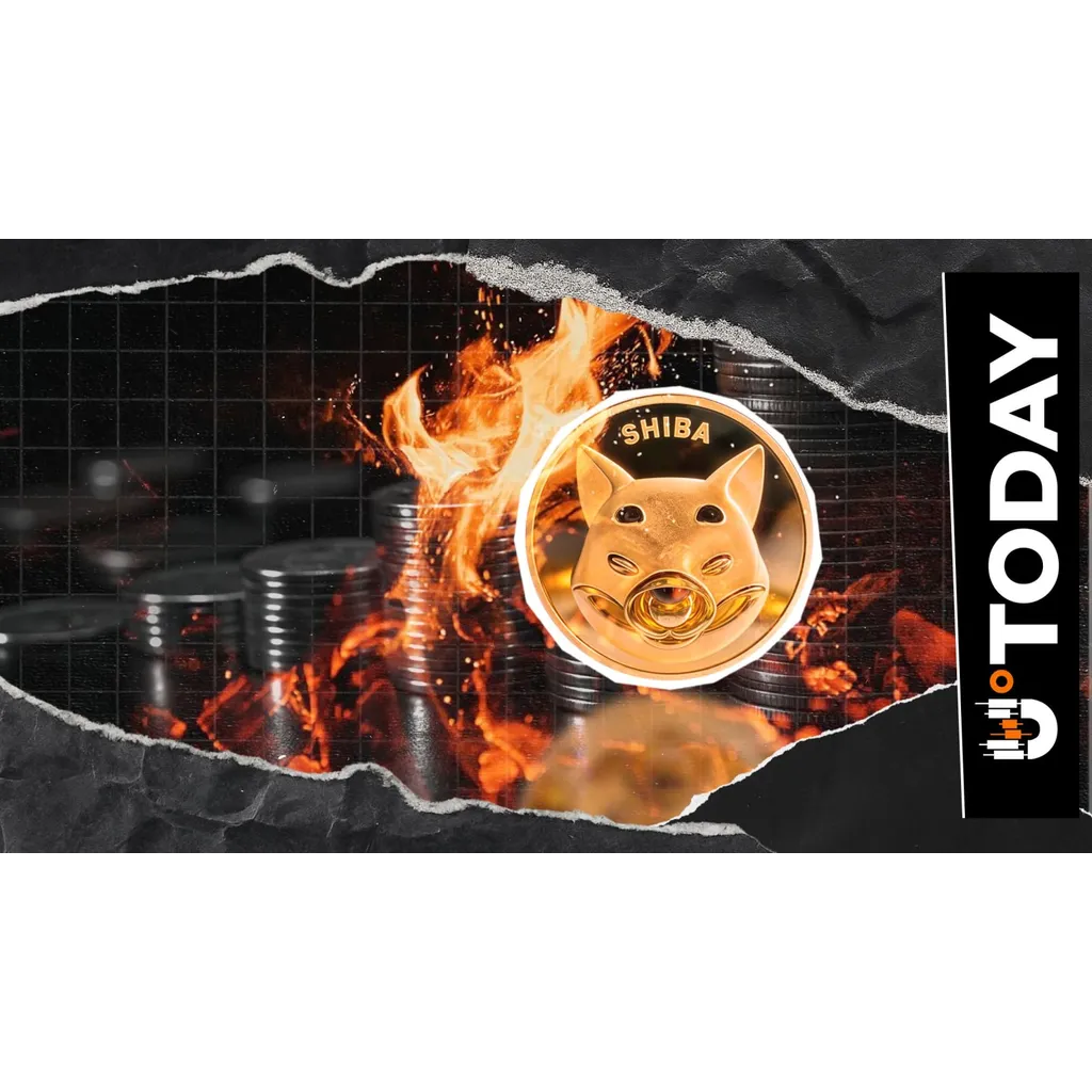 Shiba Inu burn rate surged 674 percent but remains ineffective for utility Shiba Inu burn rate surged 674 percent but remains ineffective for utility