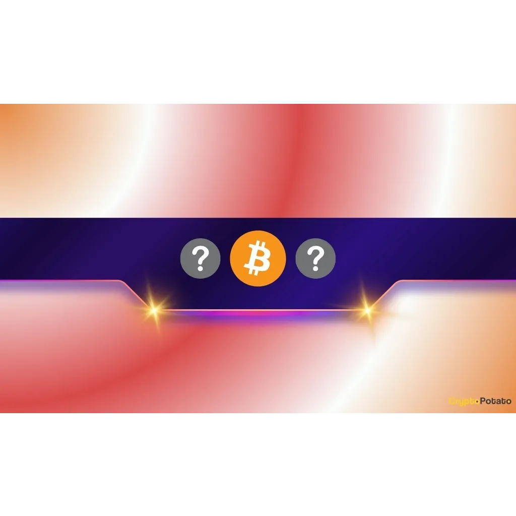 Top Cryptocurrencies to Watch in February as Market Volatility Explodes Top Cryptocurrencies to Watch in February as Market Volatility Explodes
