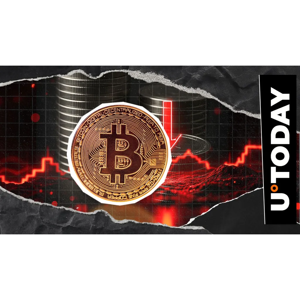 Ethereum and Bitcoin lead 0 million cryptocurrency losses in 24 hours Ethereum and Bitcoin lead 0 million cryptocurrency losses in 24 hours