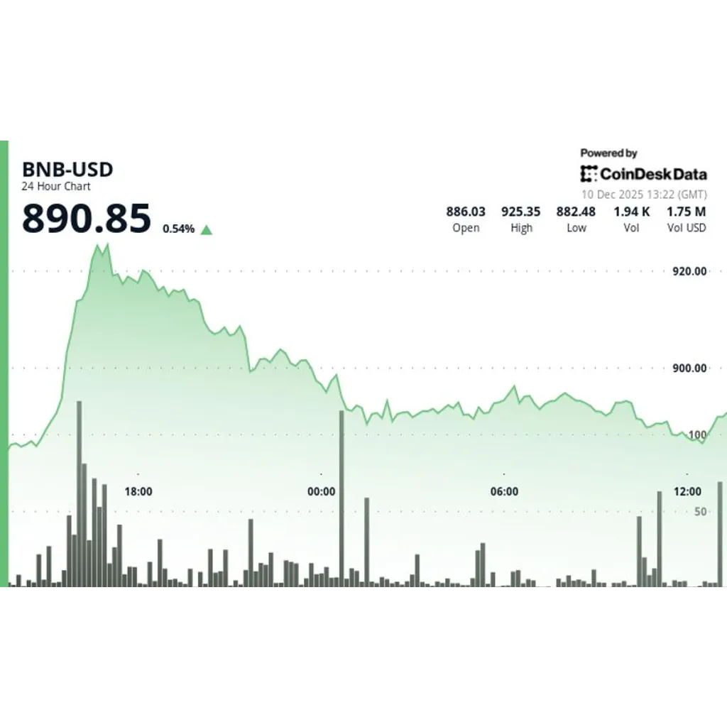 BNB Lags Wider Market Despite Volume Surge Resistance Levels Hold BNB Lags Wider Market Despite Volume Surge Resistance Levels Hold
