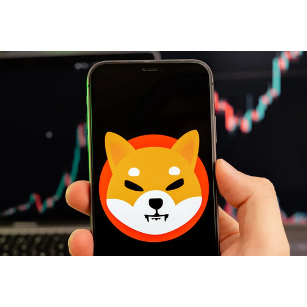 Shiba Inu bulls return with 512 billion SHIB accumulation spark Shiba Inu bulls return with 512 billion SHIB accumulation spark