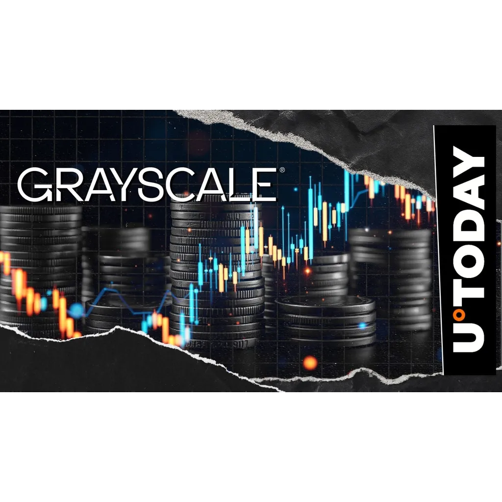 Grayscale founder selects cryptocurrency alternative to Bitcoin Grayscale founder selects cryptocurrency alternative to Bitcoin