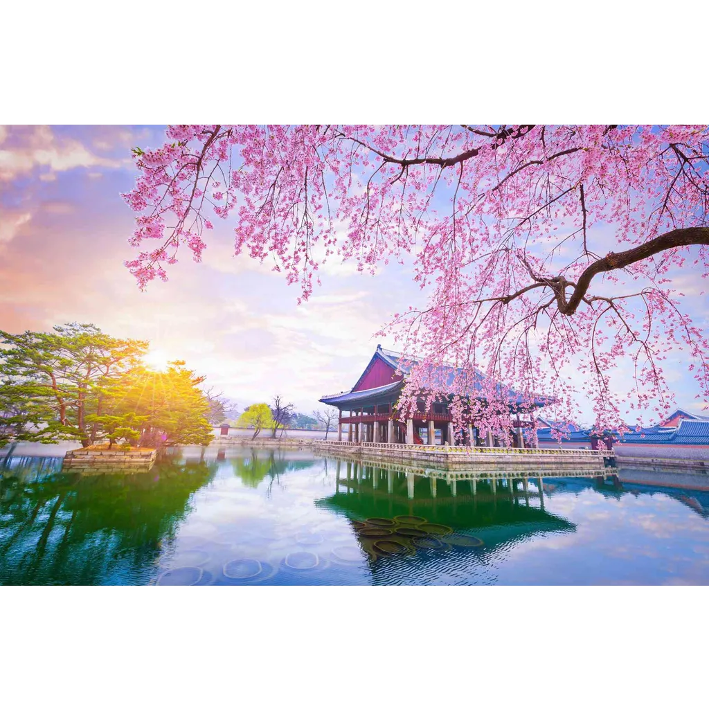 South Korea will confiscate cryptocurrency cold wallets for unpaid taxes South Korea will confiscate cryptocurrency cold wallets for unpaid taxes