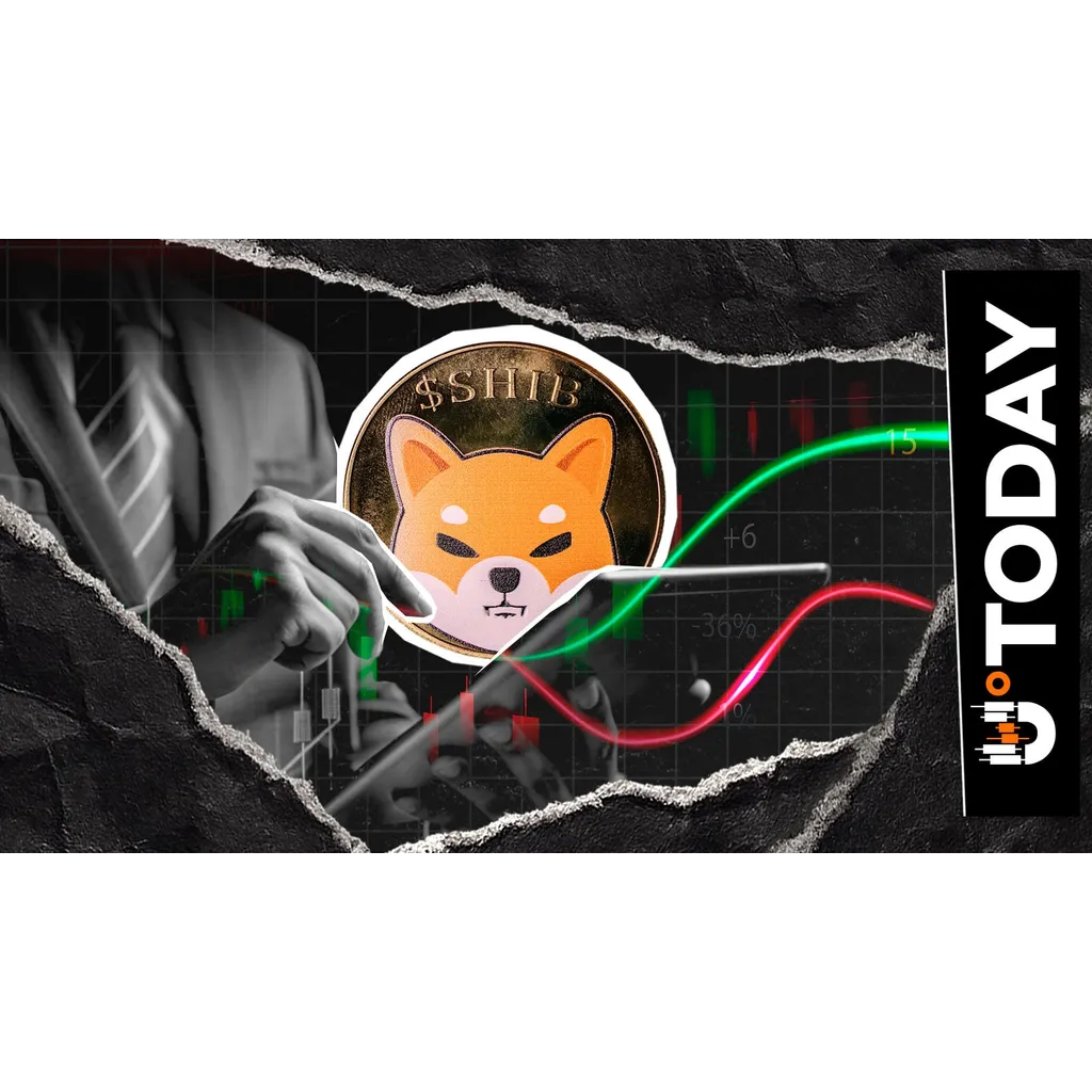 ‘Builders Don’t Wait’: Shiba Inu Team Signals Momentum as Community Pushes Ahead ‘Builders Don’t Wait’: Shiba Inu Team Signals Momentum as Community Pushes Ahead