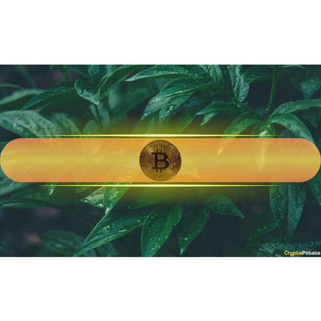 Bitcoin breaks 6000 as volatility spikes and market tests liquidity Bitcoin breaks 6000 as volatility spikes and market tests liquidity