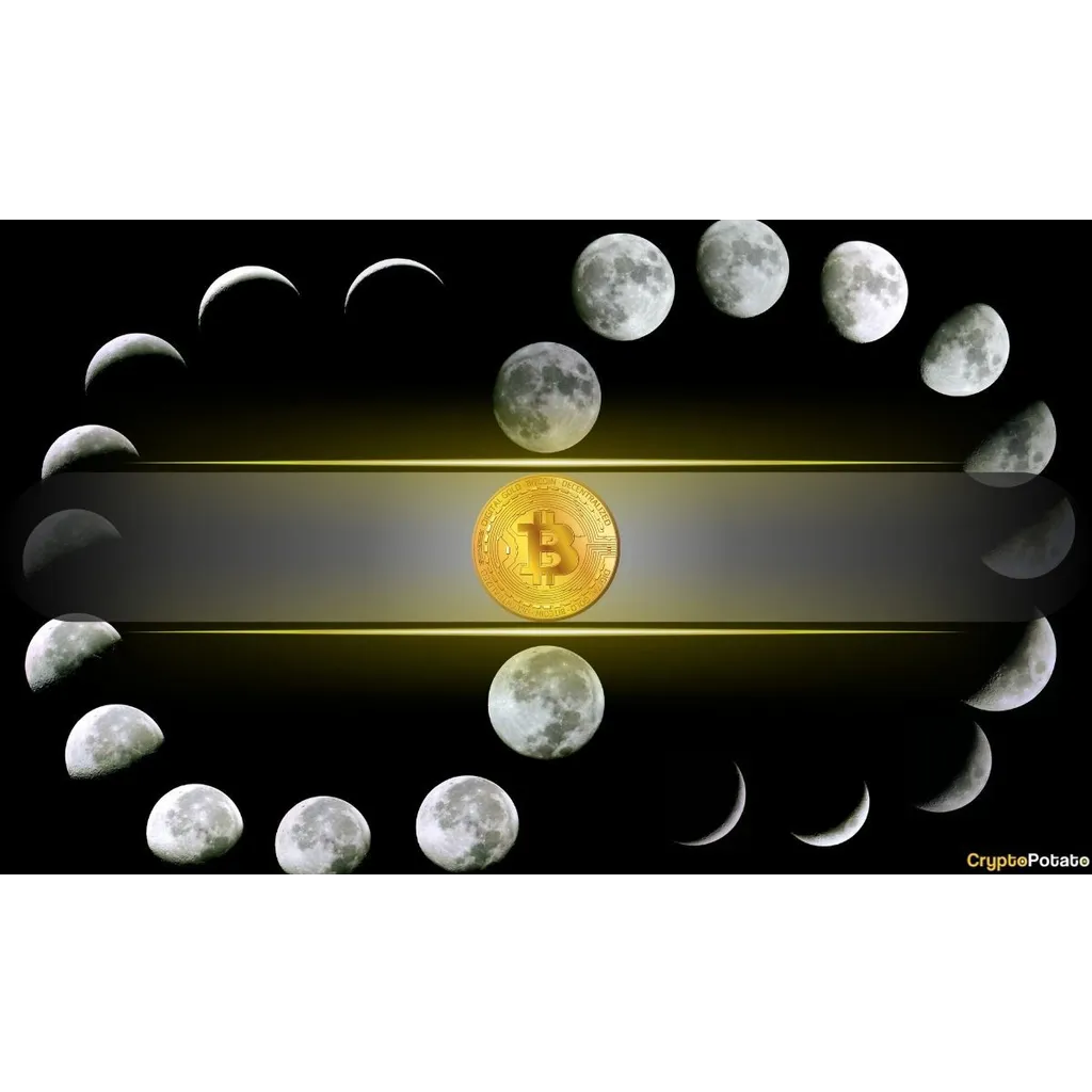 Bitcoin be repeating a historical Q1 cycle pattern with a final shakeout phase Bitcoin be repeating a historical Q1 cycle pattern with a final shakeout phase