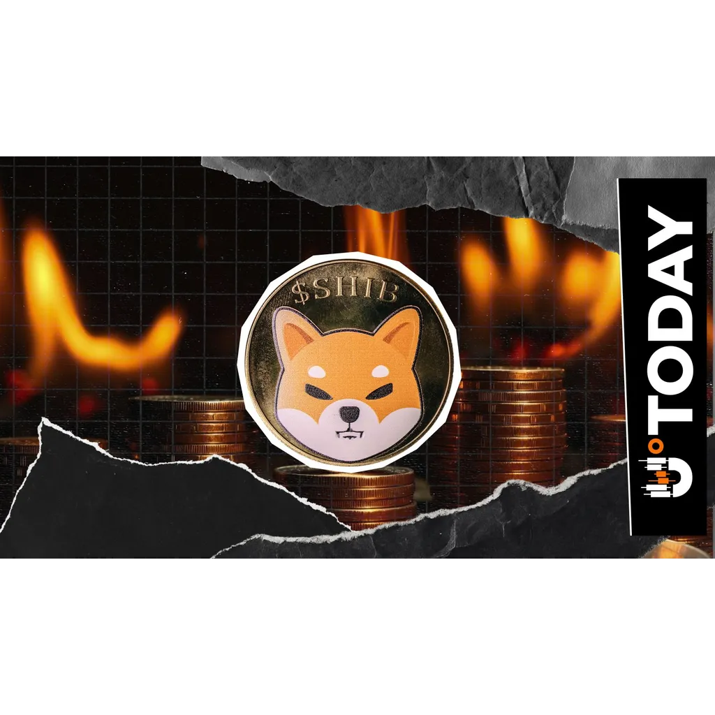 SHIB Burns Stuck at Zero for Second Consecutive Day Amid Surging Crypto Market SHIB Burns Stuck at Zero for Second Consecutive Day Amid Surging Crypto Market