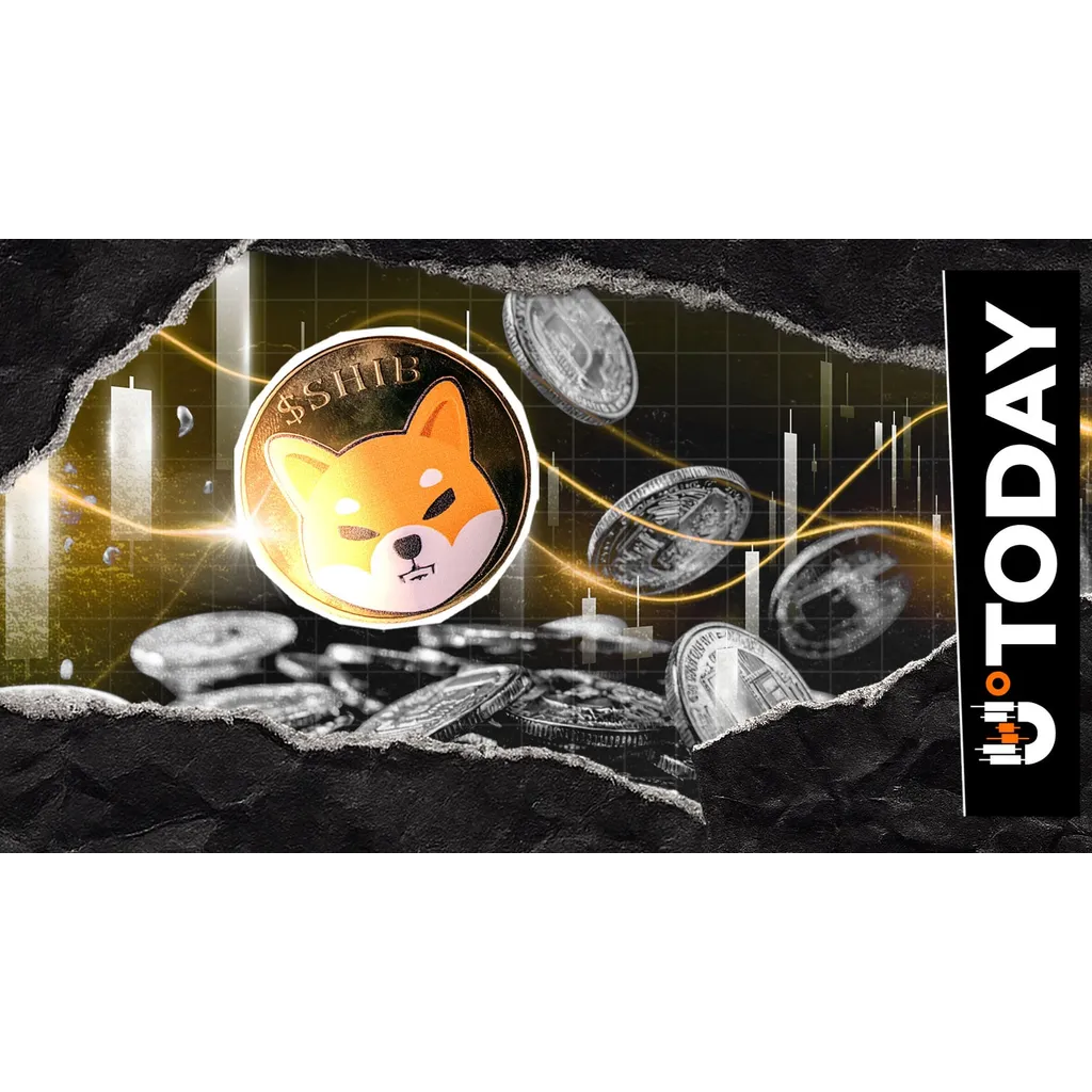 26,470,000,000 SHIB in 24 Hours: Mind-Blowing 26,470,000,000 SHIB in 24 Hours: Mind-Blowing