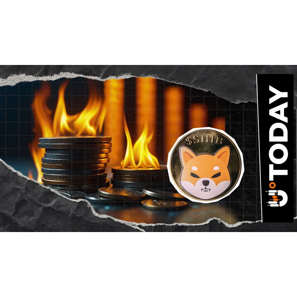 SHIB Burns Collapse 82.2%, But This SHIB Crash Came First: Details SHIB Burns Collapse 82.2%, But This SHIB Crash Came First: Details