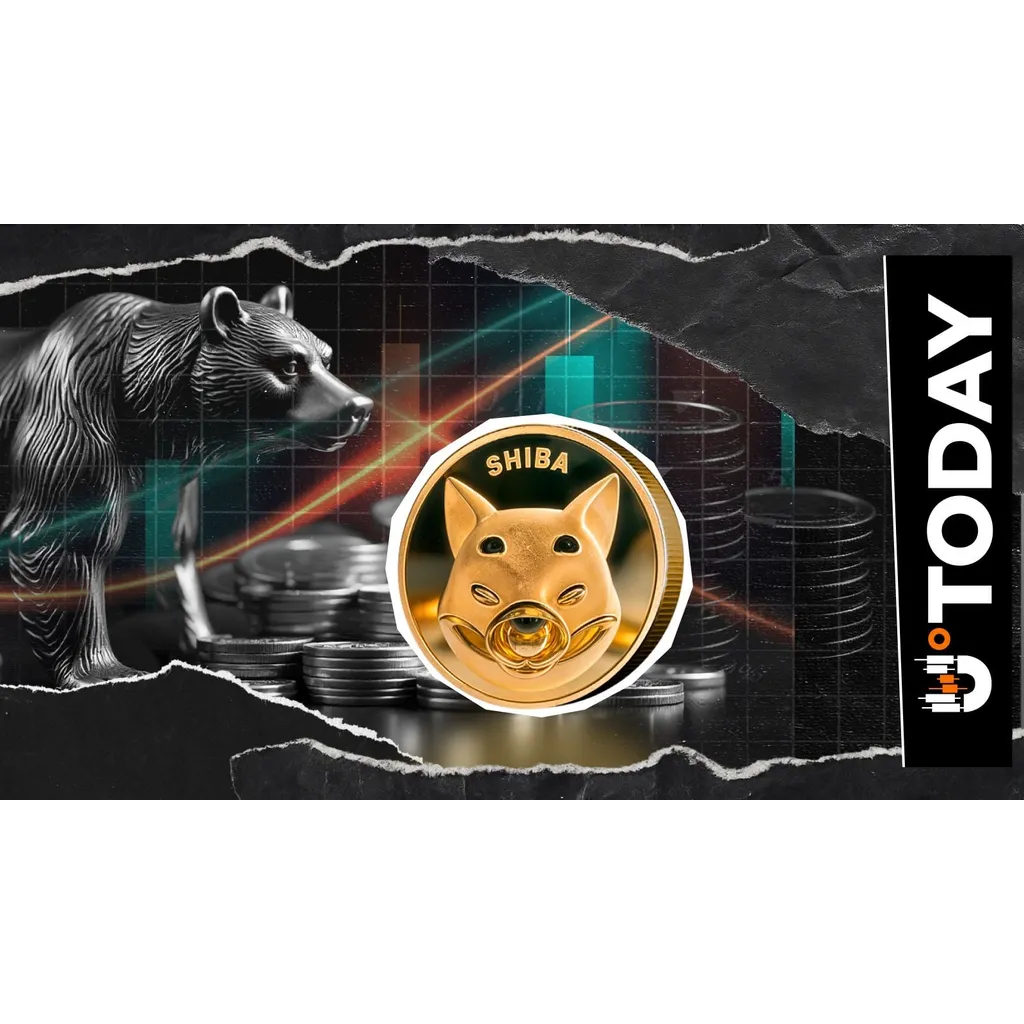 Top SHIB Exec Believes Bear Market Is Here, But There’s a Catch Top SHIB Exec Believes Bear Market Is Here, But There’s a Catch
