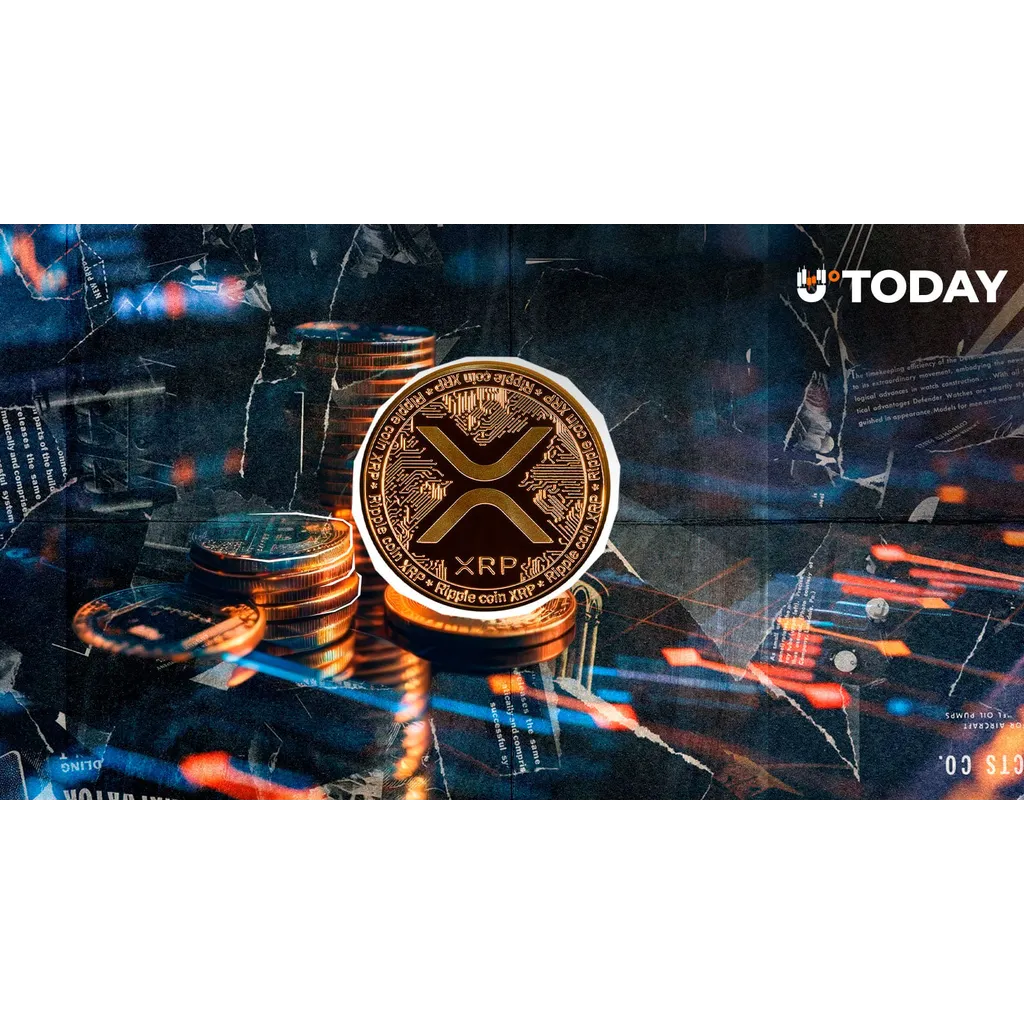 Total Number of XRPs Held on Exchanges Revealed Total Number of XRPs Held on Exchanges Revealed