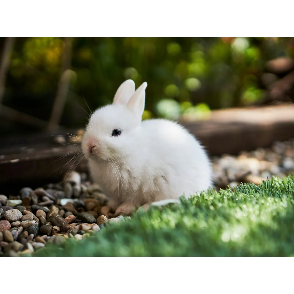 Bunni DEX halts contracts after .4M exploit across Ethereum and Arbitrum chains Bunni DEX halts contracts after .4M exploit across Ethereum and Arbitrum chains
