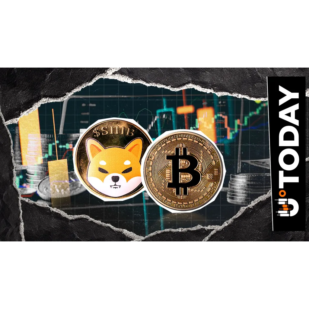 Is Shiba Inu (SHIB) More Resistant Than Bitcoin? Selling Pressure Avoided Is Shiba Inu (SHIB) More Resistant Than Bitcoin? Selling Pressure Avoided