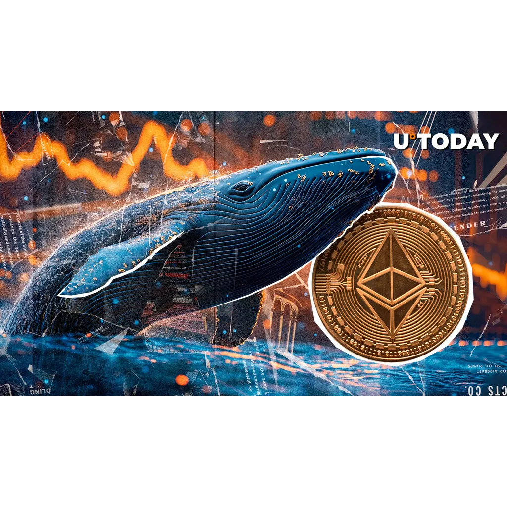 From 0 to Million: Dormant Ethereum Whale Wakes Up After 10 Years From 0 to Million: Dormant Ethereum Whale Wakes Up After 10 Years