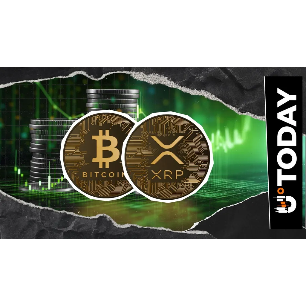 XRP and Bitcoin Are in Top 5 Most Popular Assets Right Now: Details XRP and Bitcoin Are in Top 5 Most Popular Assets Right Now: Details