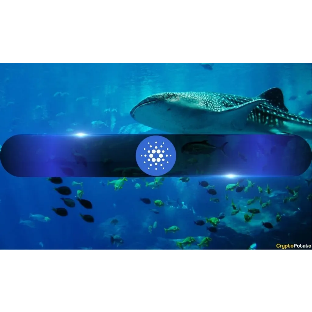 Cardano ADA retail traders bearish as whales increase holdings by 15% in July 2023 Cardano ADA retail traders bearish as whales increase holdings by 15% in July 2023