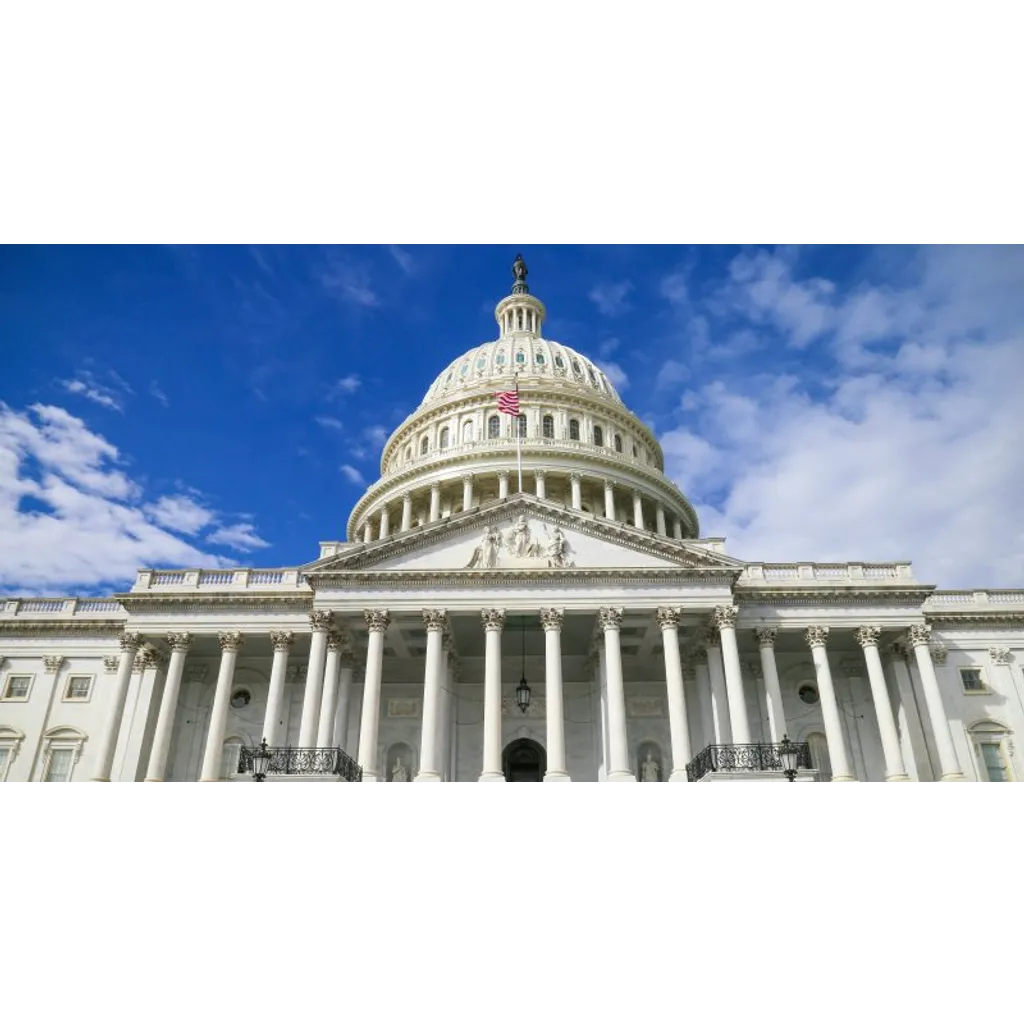White House omits Bitcoin reserve plan White House omits Bitcoin reserve plan
