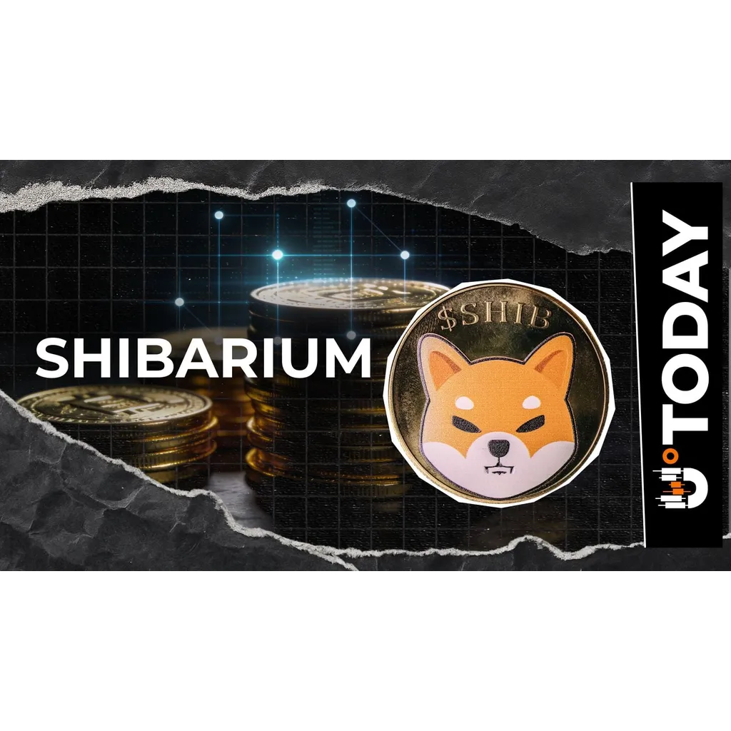 Shiba Inu’s Shibarium Just Saw 300% Surge in Transactions: Most of Them Are Empty Shiba Inu’s Shibarium Just Saw 300% Surge in Transactions: Most of Them Are Empty