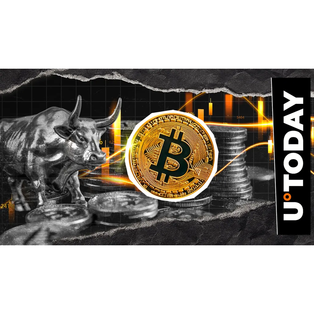 Whale Withdraws Million in Bitcoin From Binance in Comeback Whale Withdraws Million in Bitcoin From Binance in Comeback
