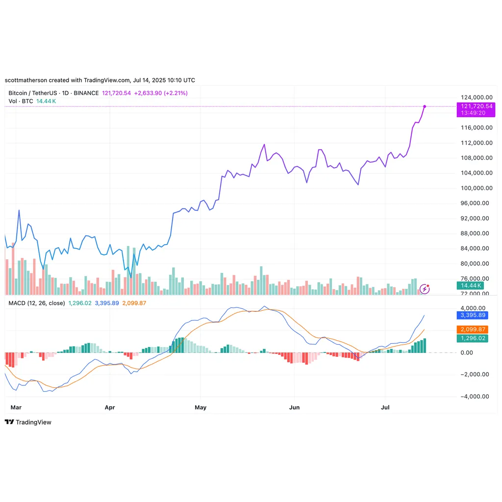 Bitcoin Price Trajectory To 5,000: Why No Major Dips Are Expected From Here Bitcoin Price Trajectory To 5,000: Why No Major Dips Are Expected From Here
