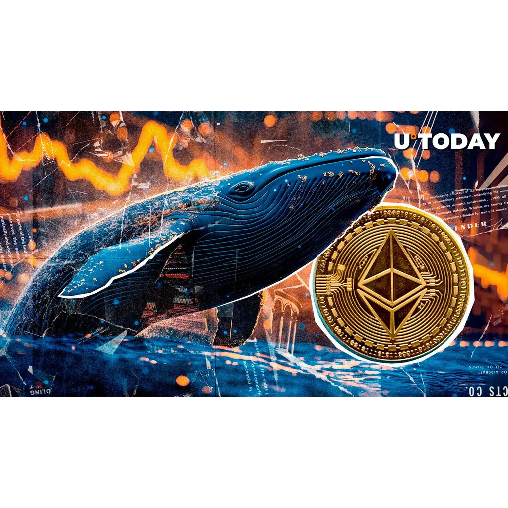 New Ethereum Whale Gets M ETH New Ethereum Whale Gets M ETH