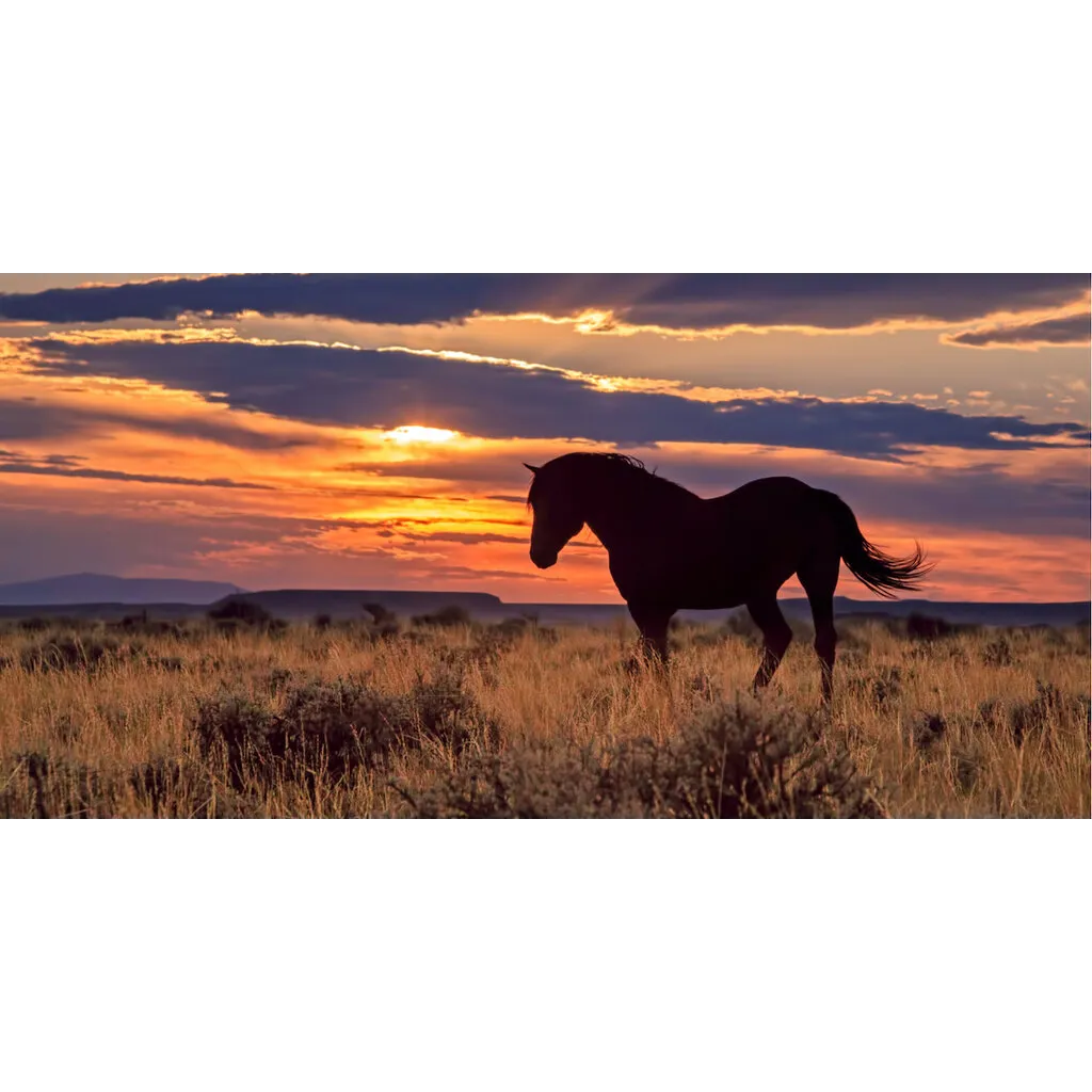 Wyoming’s Frontier stablecoin launches on Ethereum, Solana, and Avalanche with state treasury backing Wyoming’s Frontier stablecoin launches on Ethereum, Solana, and Avalanche with state treasury backing