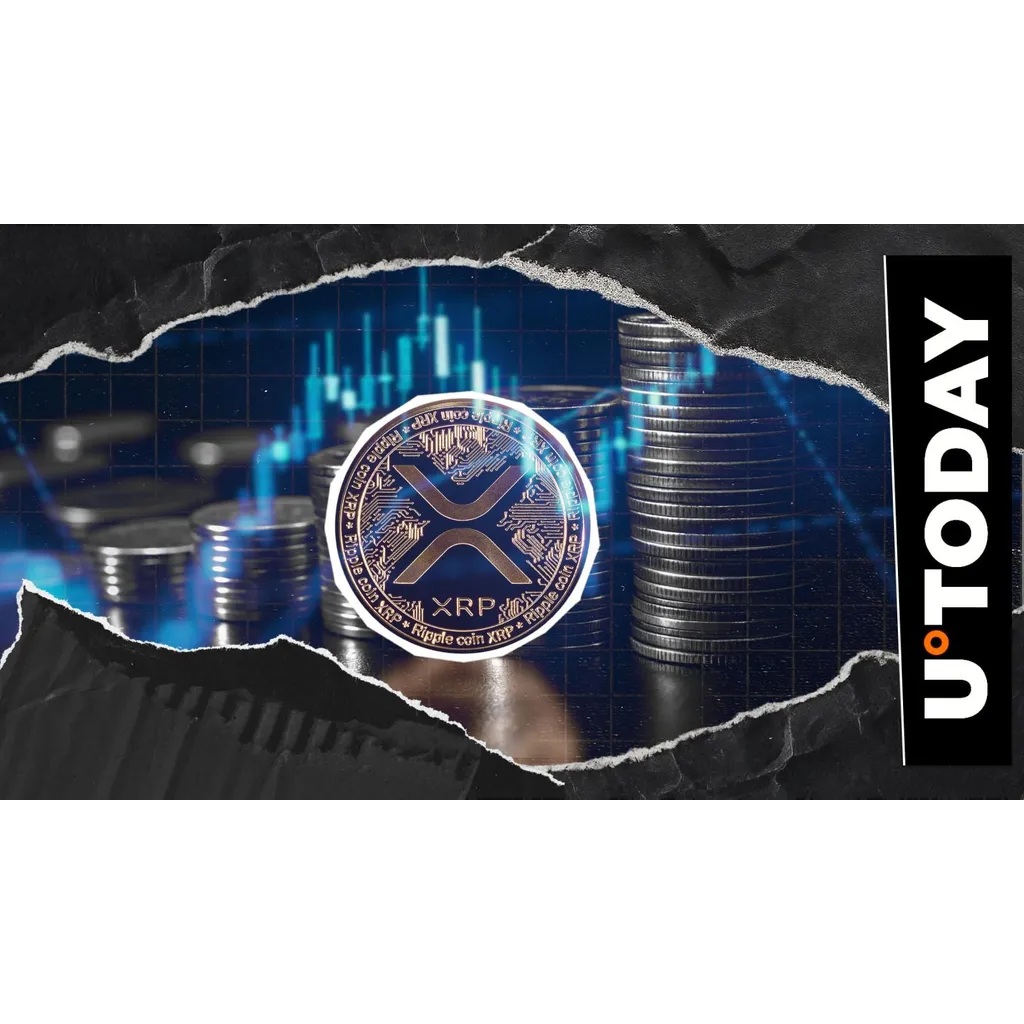 Crypto trader warns against FUD as XRP price tops Crypto trader warns against FUD as XRP price tops