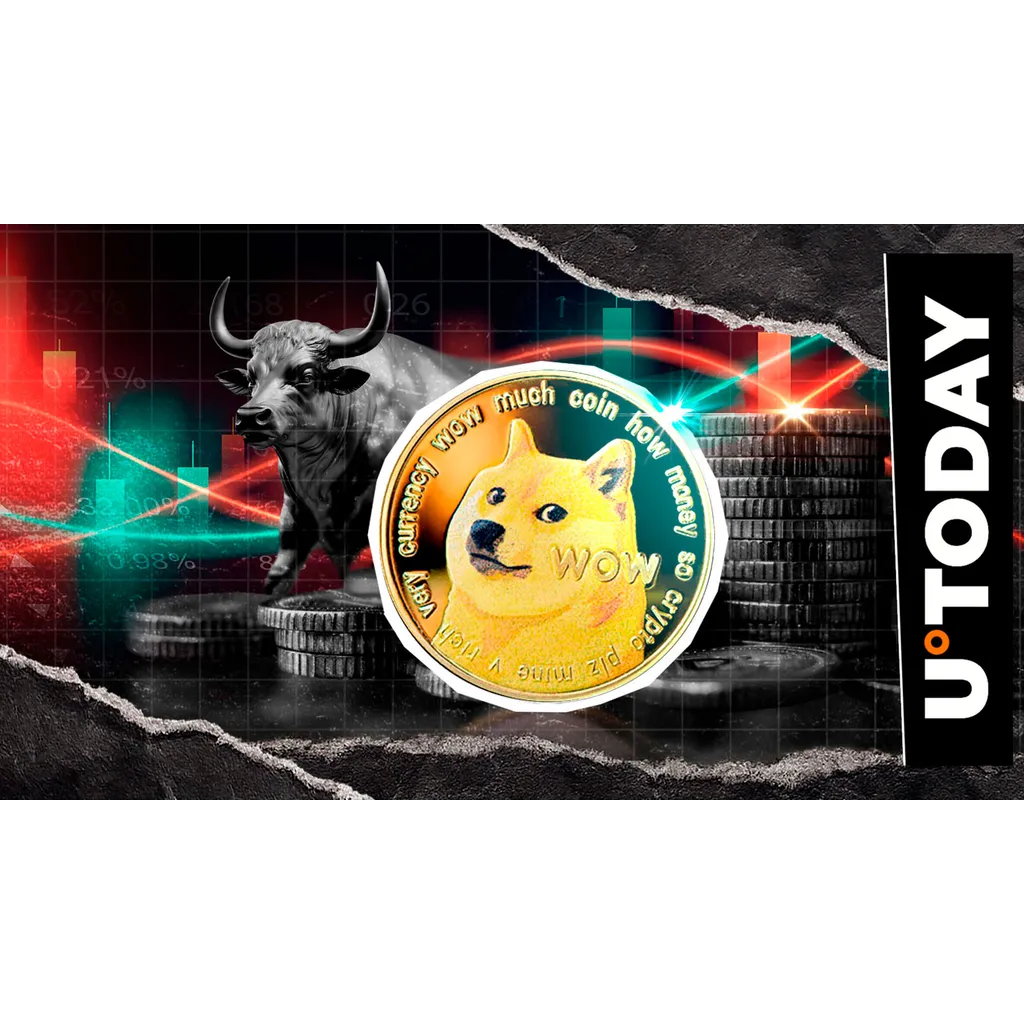 Dogecoin records 1564.8 percent liquidation imbalance in hourly market decline Dogecoin records 1564.8 percent liquidation imbalance in hourly market decline