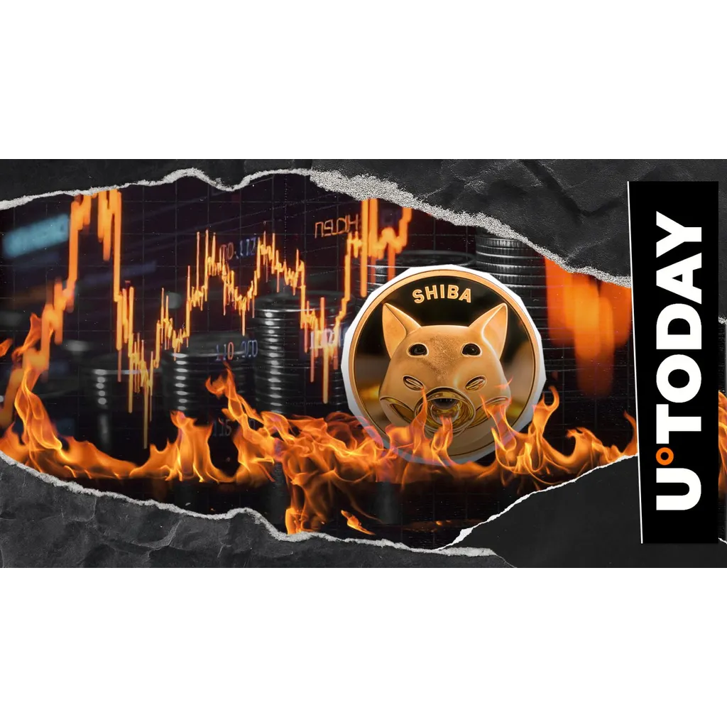Shiba Inu burn rate increases with 7 million tokens removed from supply Shiba Inu burn rate increases with 7 million tokens removed from supply