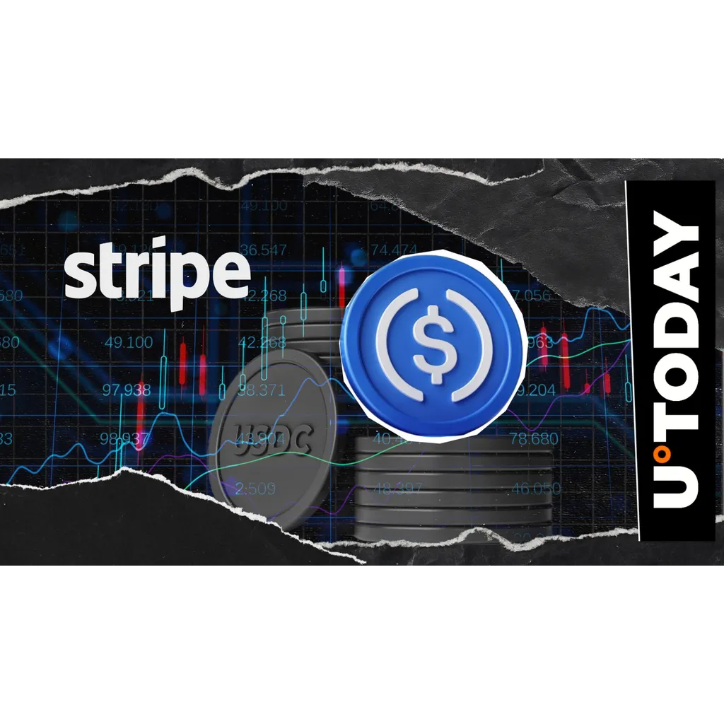 Stripe processes over 0 million in USDC transfers across Polygon Base Ethereum Stripe processes over 0 million in USDC transfers across Polygon Base Ethereum