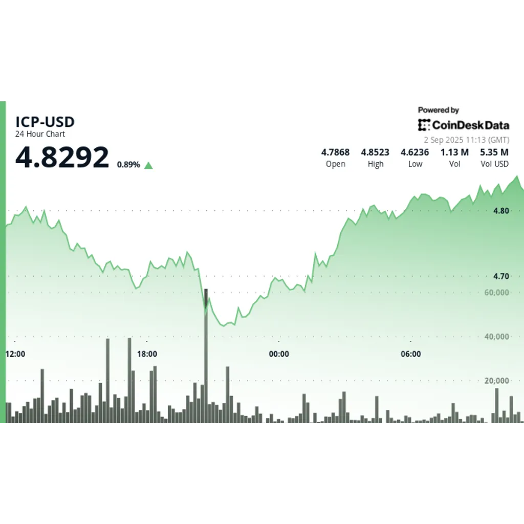 Internet Computer trading volume exceeds weekly average by 60% reaching 0 million Internet Computer trading volume exceeds weekly average by 60% reaching 0 million
