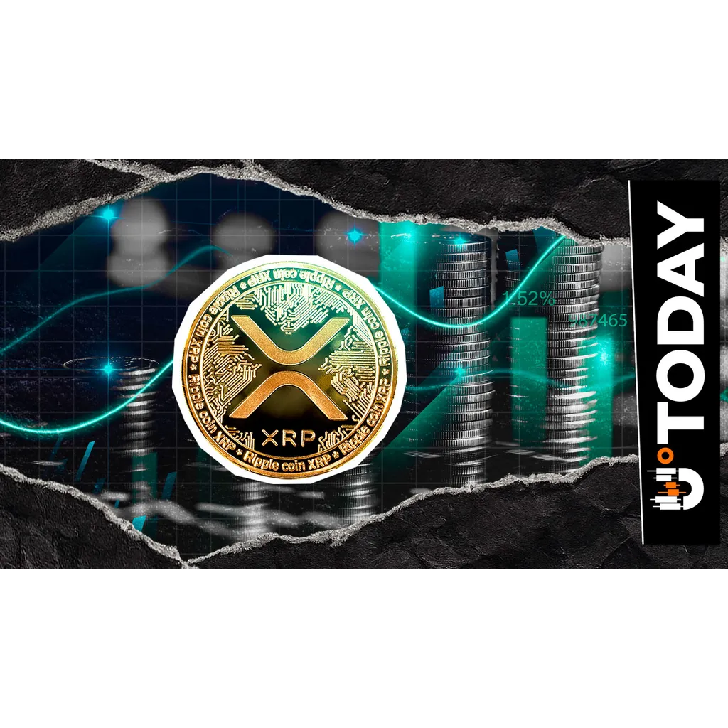 XRP profit realization increases by 240 percent according to data XRP profit realization increases by 240 percent according to data