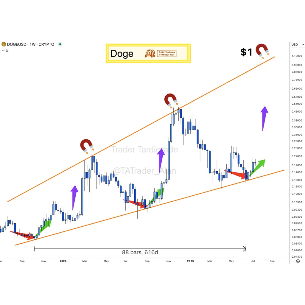 300% DOGE price rally expected if this key price level is reclaimed 300% DOGE price rally expected if this key price level is reclaimed