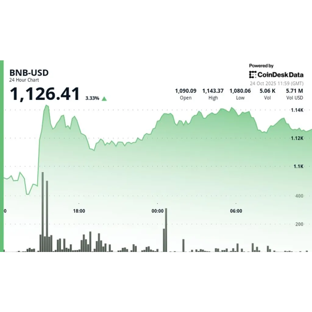 BNB price jumps with 35 percent volume spike after CZ pardon reports BNB price jumps with 35 percent volume spike after CZ pardon reports