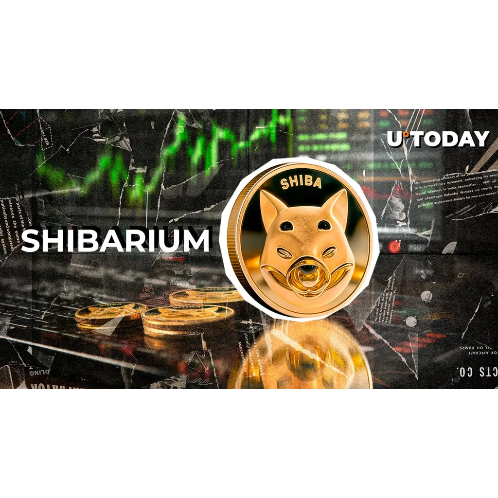 Shibarium transactions reach 14-day high as SHIB price shows movement Shibarium transactions reach 14-day high as SHIB price shows movement