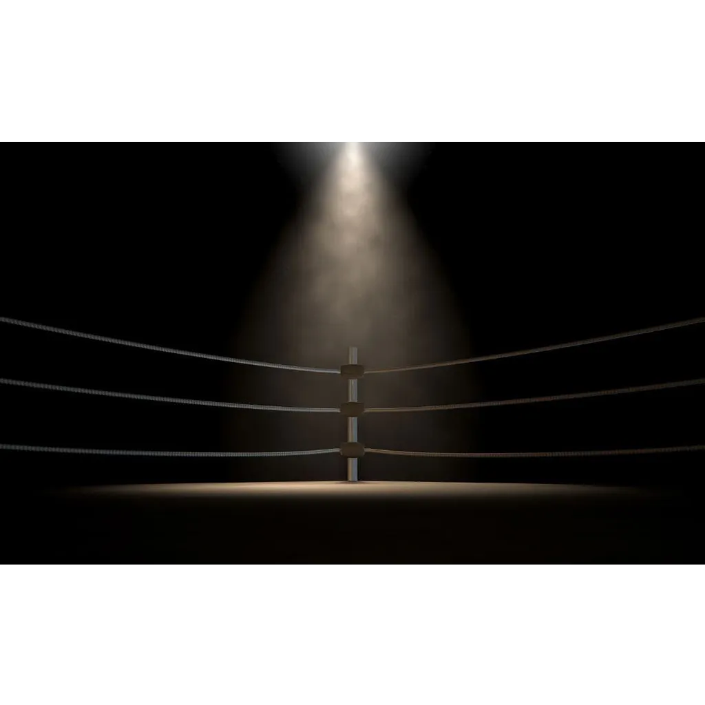 Court identifies a serious issue that must be tried in legal proceedings Court identifies a serious issue that must be tried in legal proceedings