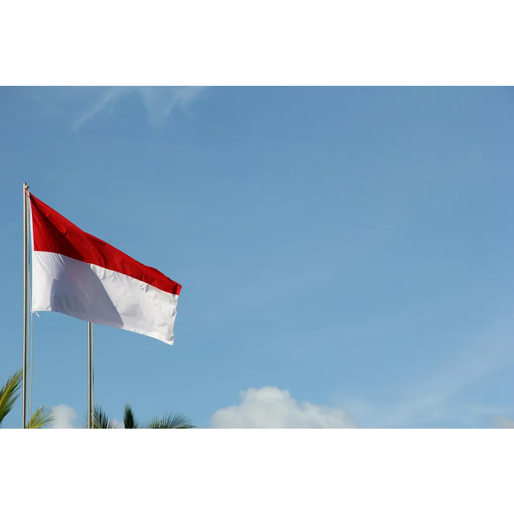 Indonesia hikes crypto taxes August 1st Indonesia hikes crypto taxes August 1st