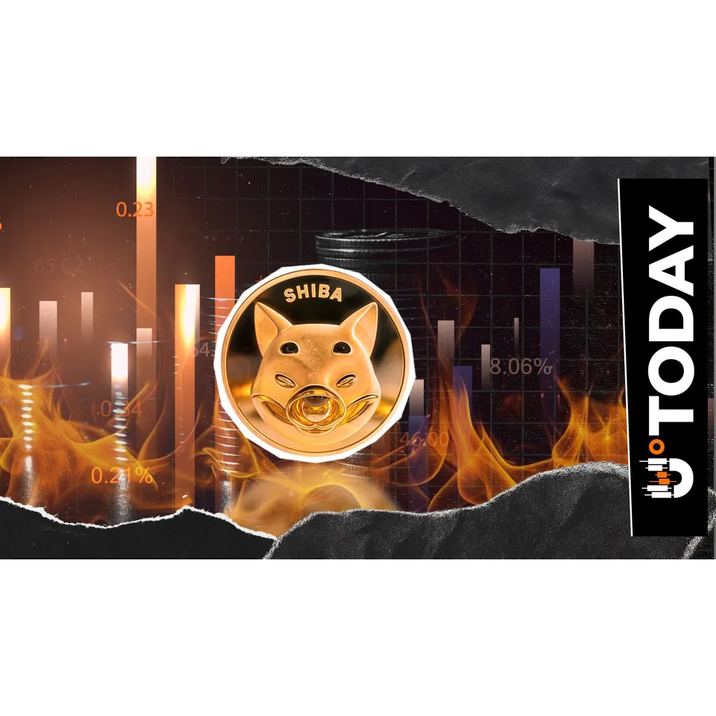 Shiba Inu Burn Rate Crashes Overnight as SHIB Price Reverses Gain Shiba Inu Burn Rate Crashes Overnight as SHIB Price Reverses Gain