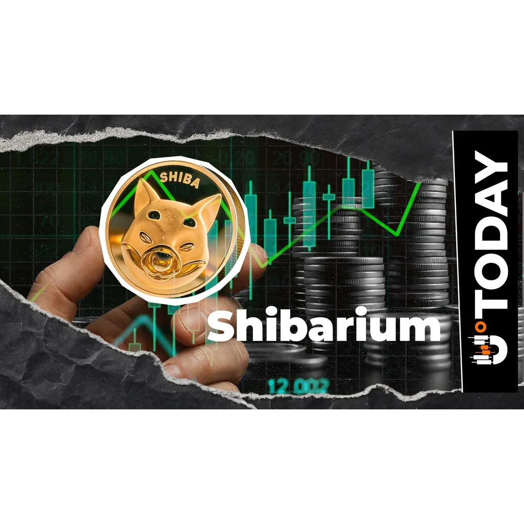 Shibarium Transactions Hit Multiweek High, Up 1,451% in Four Days Shibarium Transactions Hit Multiweek High, Up 1,451% in Four Days