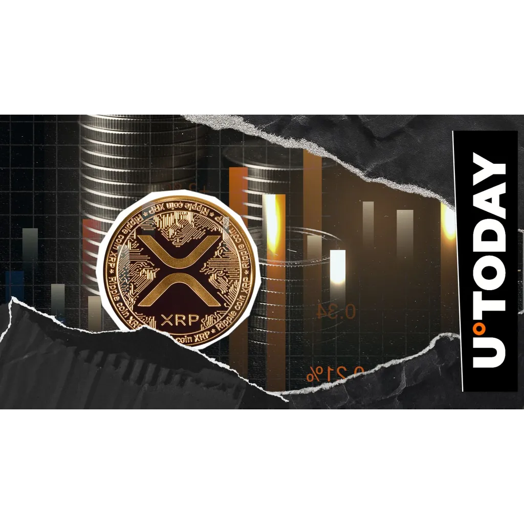 XRP faces 903 percent liquidation imbalance in 24 hours XRP faces 903 percent liquidation imbalance in 24 hours