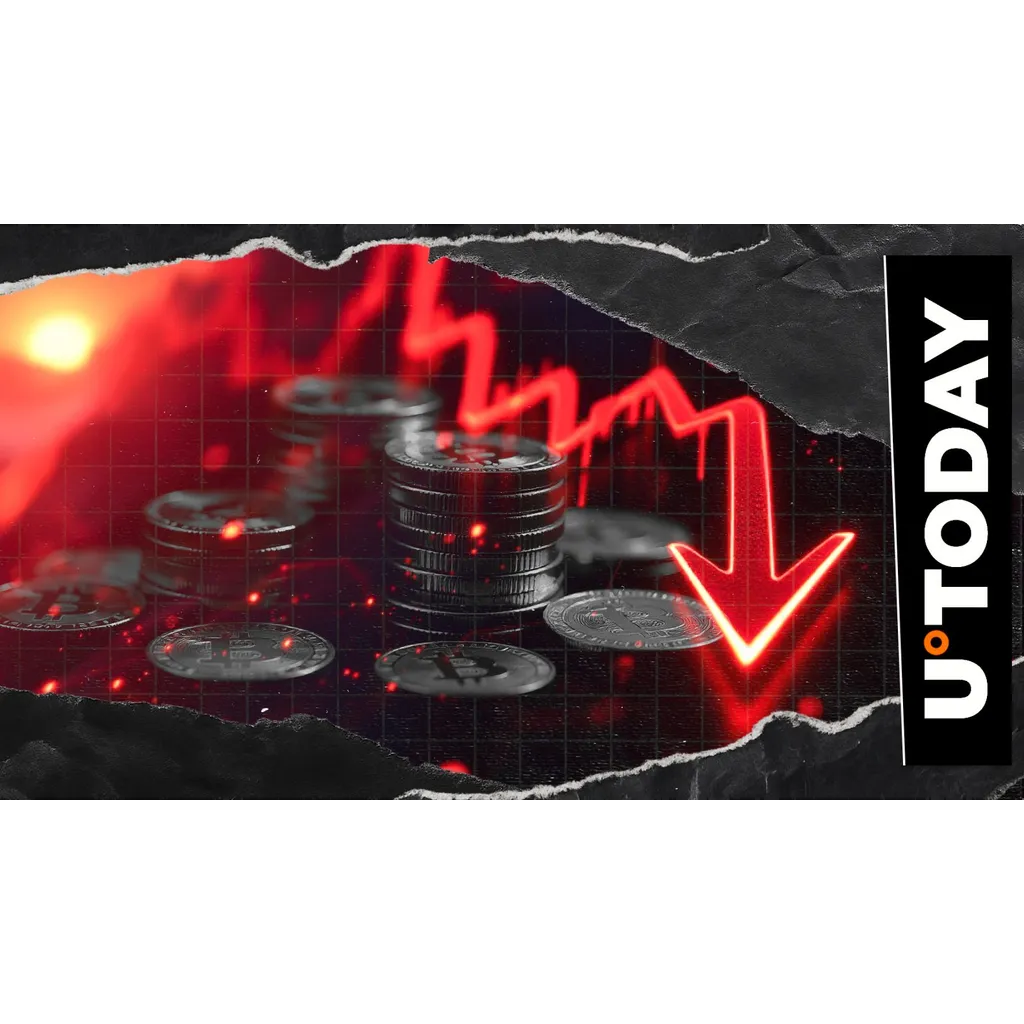 Ted Pillows warns against fake pumps amid crypto bloodbath Ted Pillows warns against fake pumps amid crypto bloodbath
